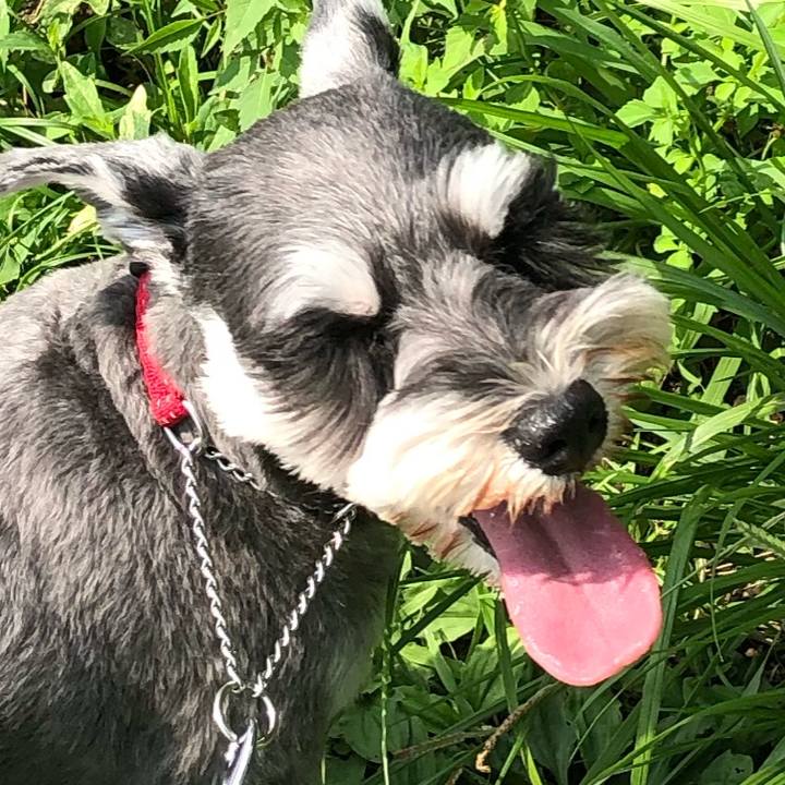 4feb5d86 90ea 421e 8775 f8b97fddb230 1566094153999