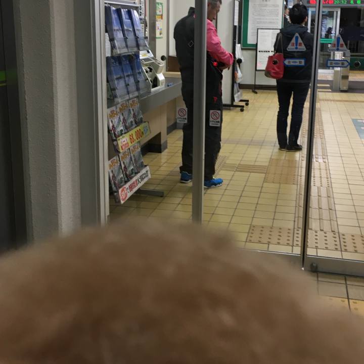 4feb647a 108a 42b3 bb29 3a2b9bfa14bc 1510209482828