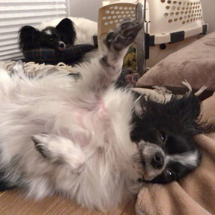 4feb6e89 0456 459c b0e0 61671ecce823 1509888059125