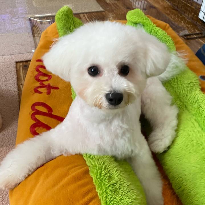 4feb820b b137 4a26 bf67 4fd136b87123 1752557701998