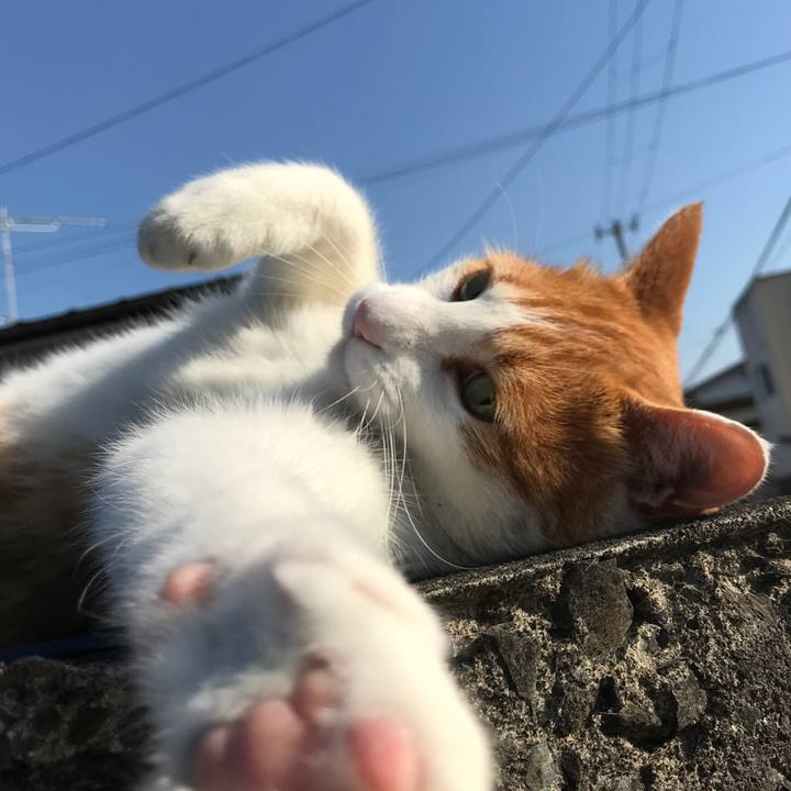 4feb922d 5c9d 4893 8cce 69e05457d29c 1528097623020