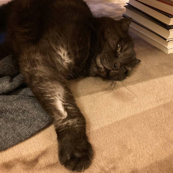 4febbd27 5140 4b8a a2e4 757250c86712 1607181951875