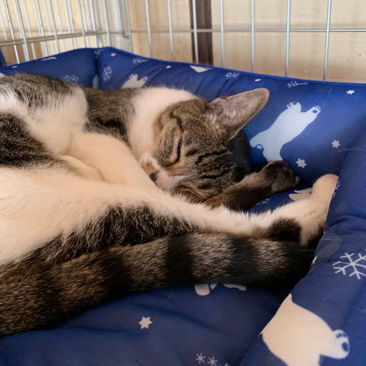 4febc4bb 0993 4e83 a89a 17b908355ce3 1567730565240