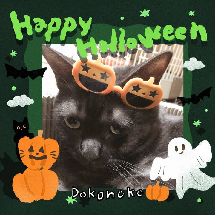 4febf735 321d 4eda 815d 7cc9950a53ca 1729177411753