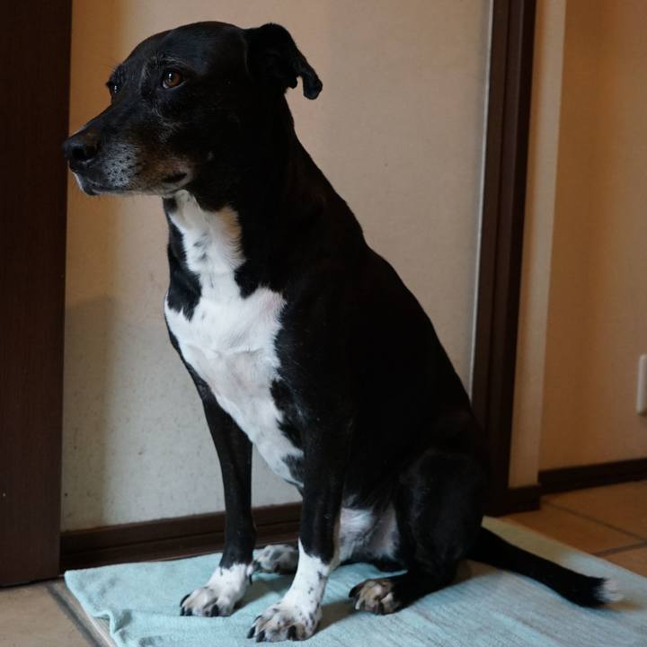 4fec1630 b125 4cd5 96bf 08bede9b63e0 1759189719753