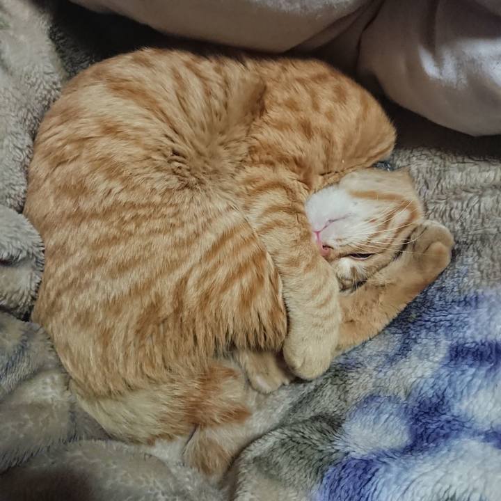 4fec5a4d ced8 49ff 8bd4 448f0e21ee3f 1648986914285