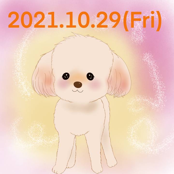 4fec82af 0b25 4961 b0d3 b242e6983d65 1635514546486