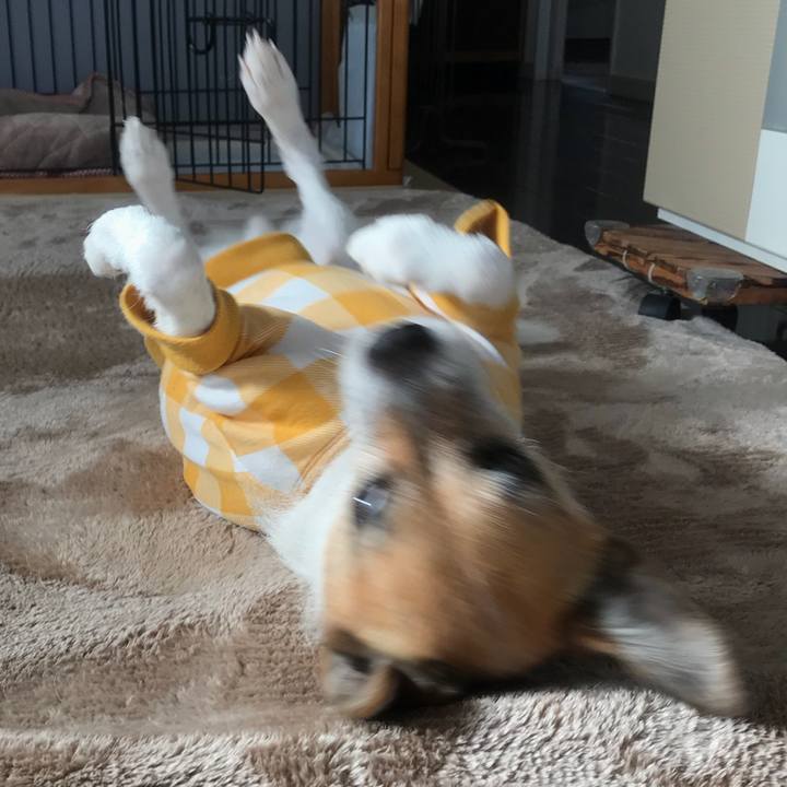 4fec8775 b5e8 4087 aae9 e02b1acf7ef1 1523841019822