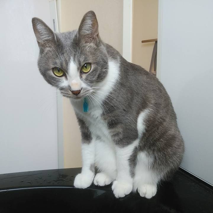 4fec87f8 b99a 4e9d 9f25 8b51b1ebddfa 1639283251021