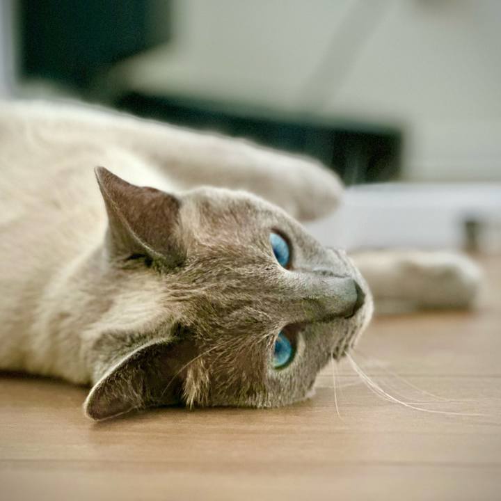 4fece585 19be 4cd6 a727 e55b2941fc8a 1708009423828