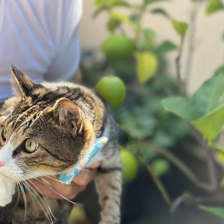 4fece79b 87bd 4eeb 8d95 f40dd375da65 1730800764642