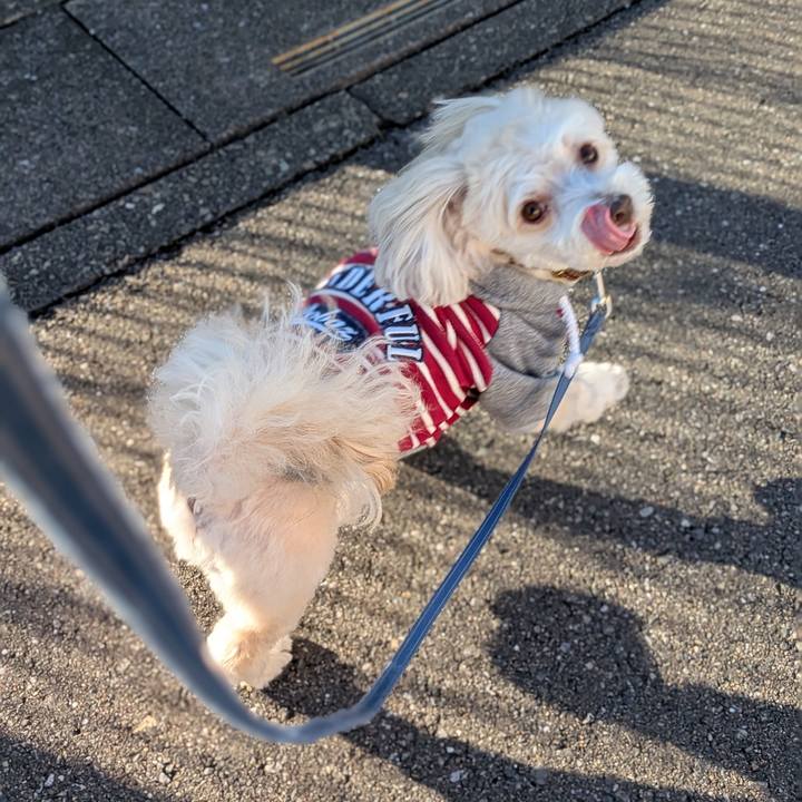 4fecfe3a 9a55 4fdf ab35 b1701d5efe1b 1763077543073