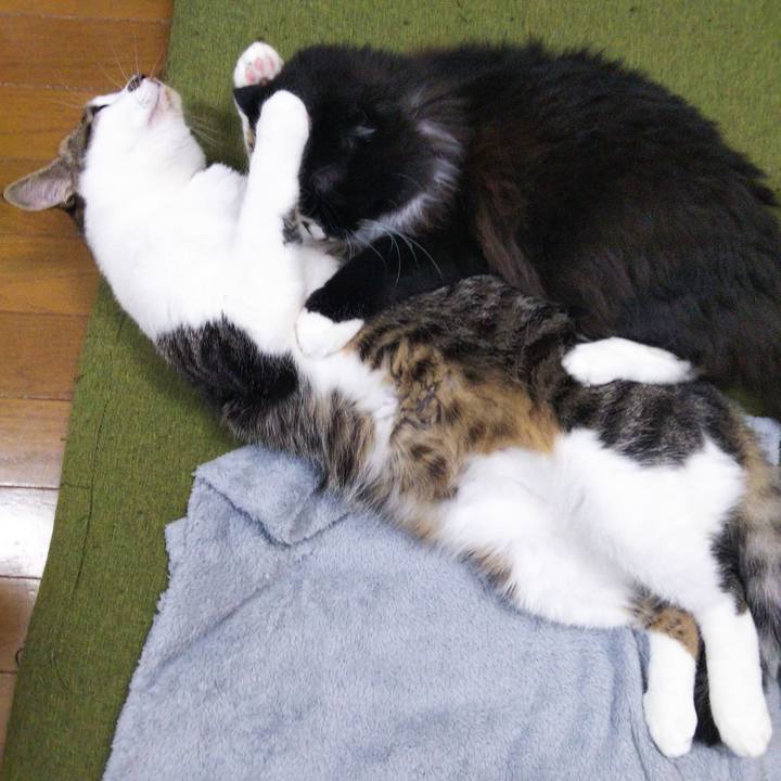 4fed274b 27f4 460b bebb fc84236e1362 1653381935873