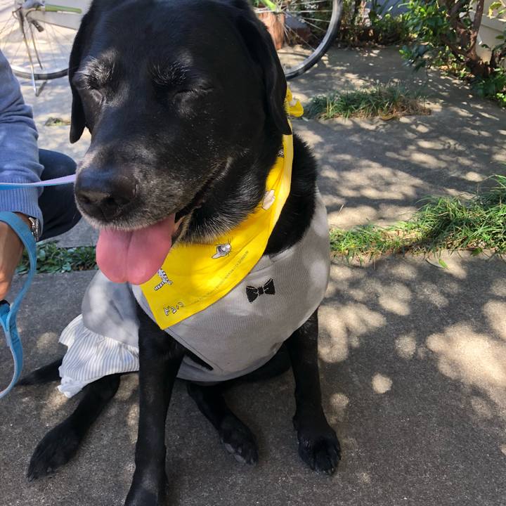 4fed2925 72f8 4358 b307 df357a2eb700 1540089038144