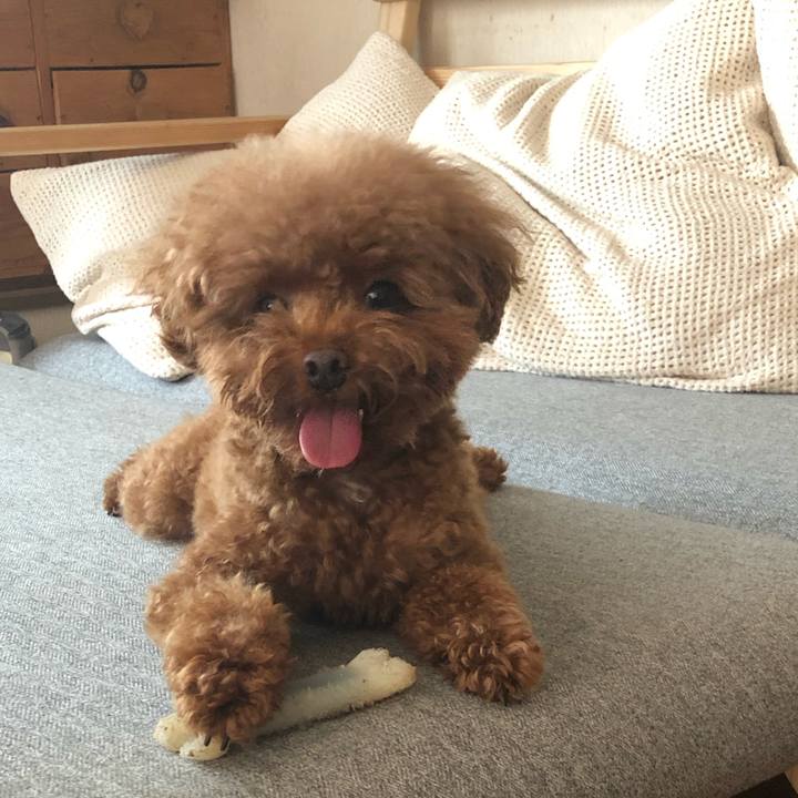 4fed60c9 20c5 4c4e 9418 0a0325968c69 1597025106278