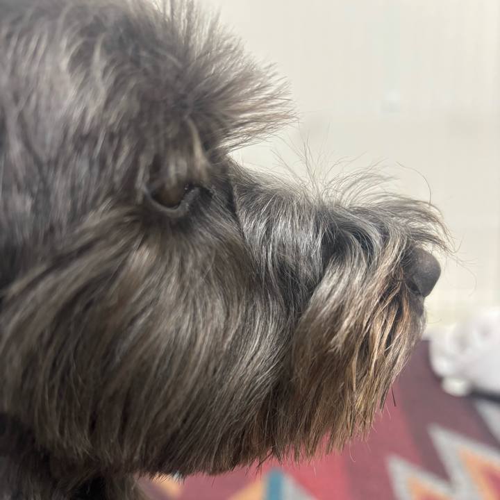 4fed6113 1c32 472c 967b 95b632a44928 1761744092348