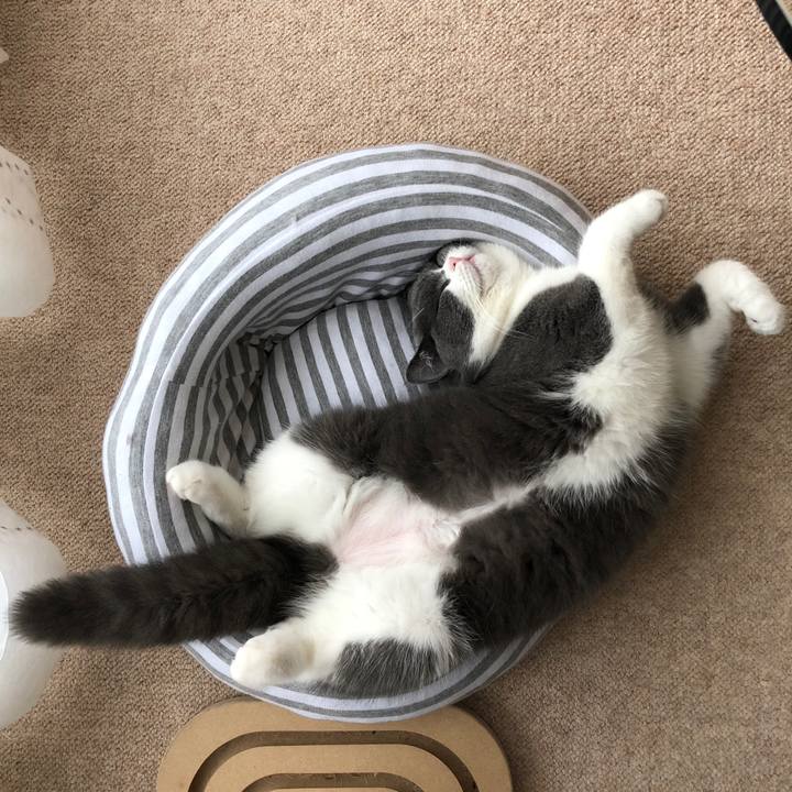 4fed91f1 38a0 46e0 a458 b9bb712b8418 1517549224350