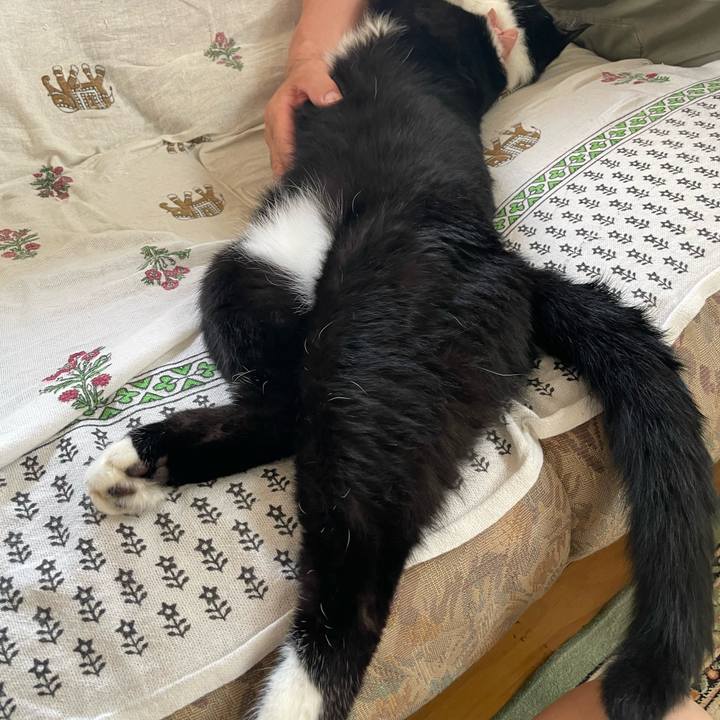 4fed9693 1884 4ba4 8500 c5974af80ab8 1751065308108