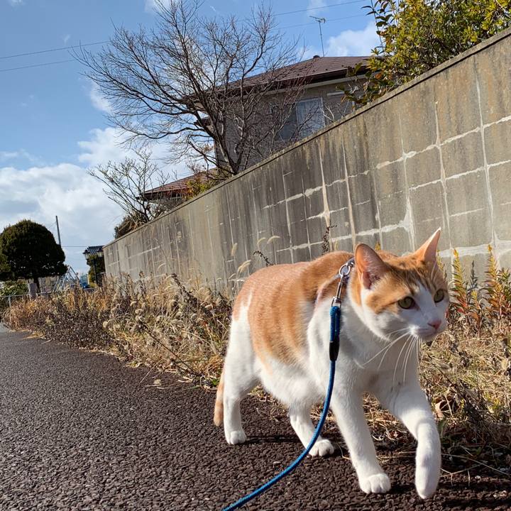 4fedb4b4 3053 423a 8ce7 9fd98f08c44f 1579147853308