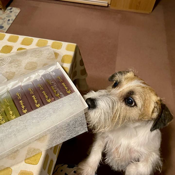 4fedc443 d1ad 4ad2 97e8 50674aefd8d6 1687519914088