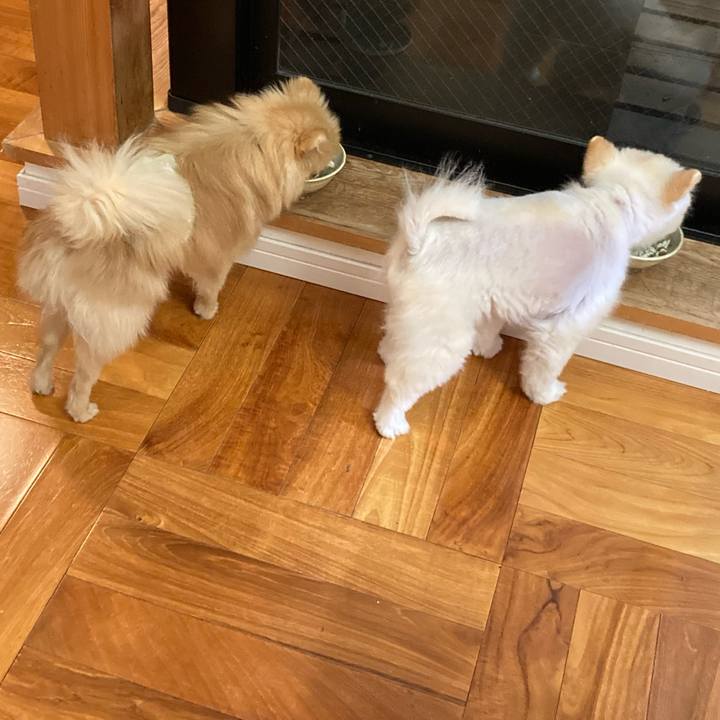 4fee05cd 3a71 479c 8caf 78308c8012f7 1646696041487