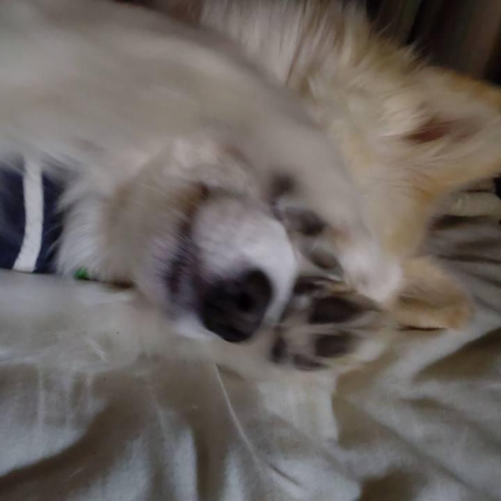 4fee091d 32e3 4ea8 a838 14b37ce5467c 1642715184493