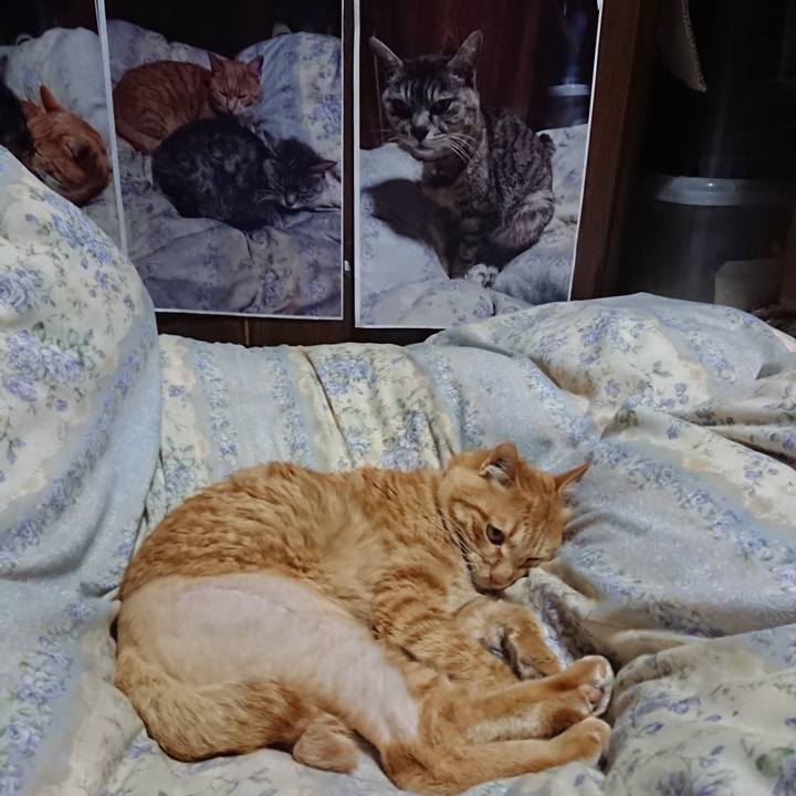 4fee0ddd 6f64 4cd7 adb7 652c3f5c3ff8 1655211305617