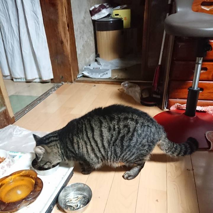 4fee5ad6 ccc1 4459 97c6 79bc318820b3 1634307525596