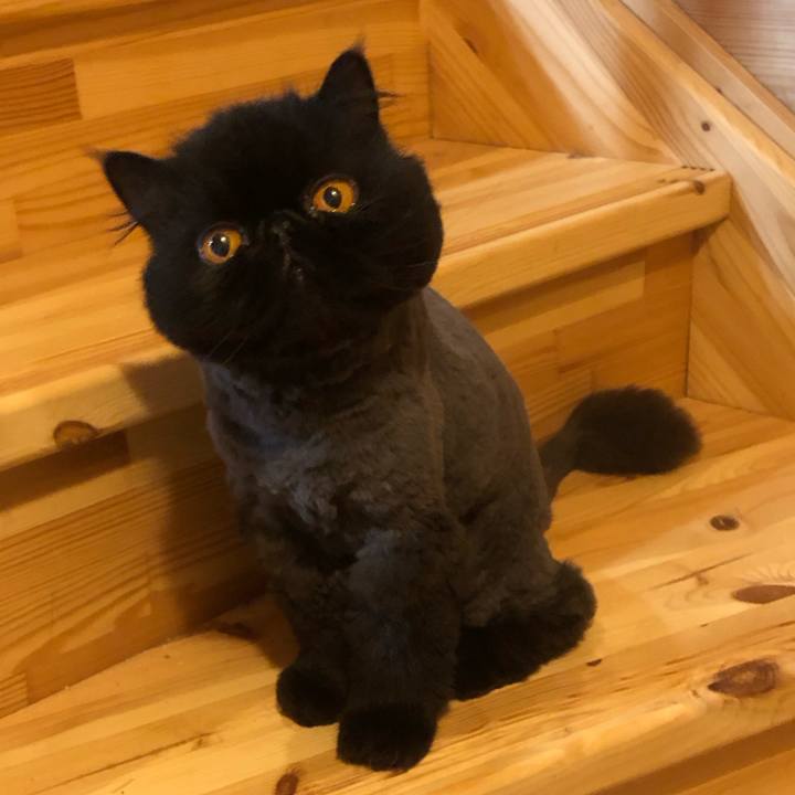 4fee8c6f 2ef9 48bd 9555 71060a6c7af2 1716120786593