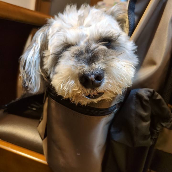 4fee9524 310b 4bd9 9a67 69893f0f2ddb 1750854287712