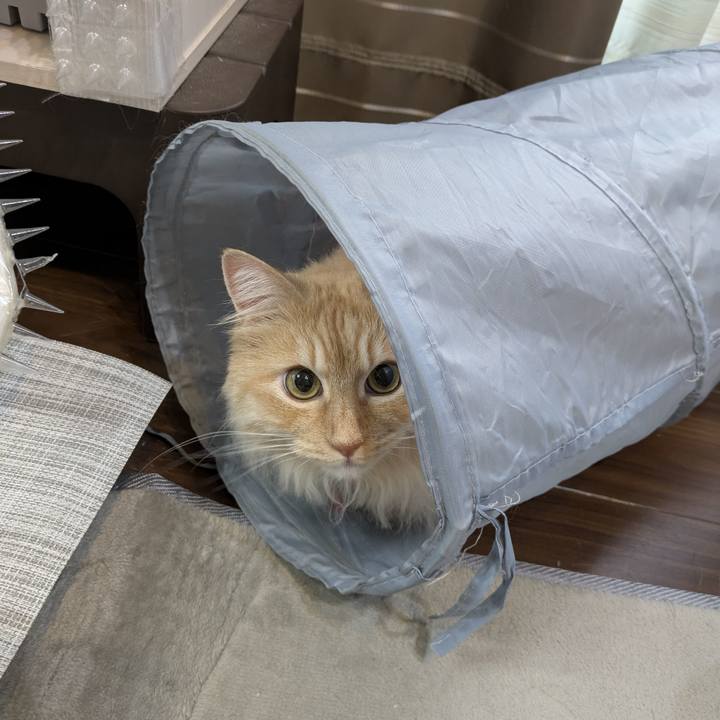 4feecb83 47f2 49bb 9499 7caa172f48a1 1749817191165