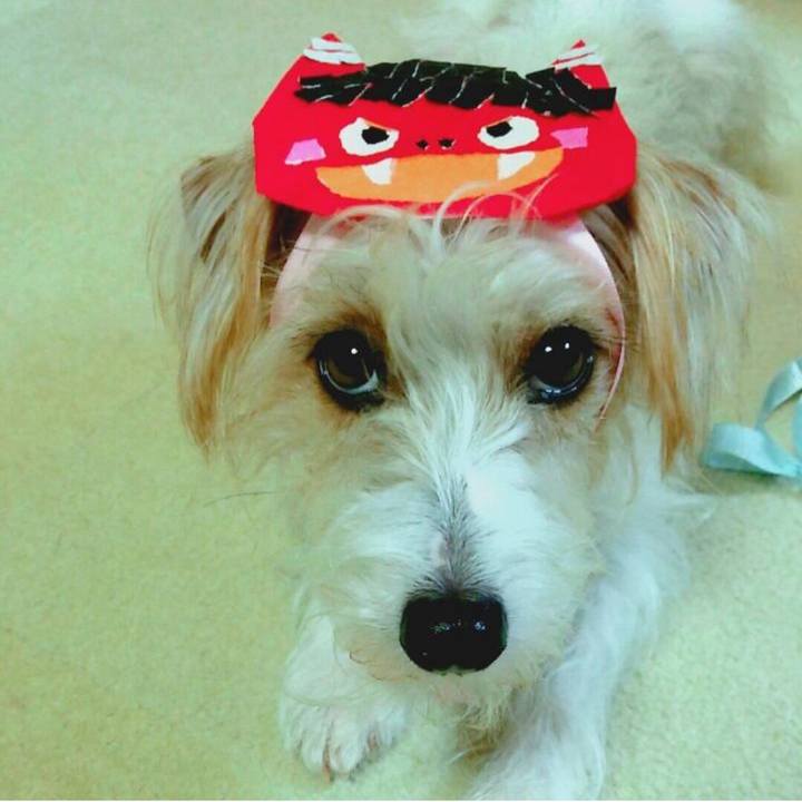 4feed90d 3a87 44f0 9b16 379282c335bd 1738623425500