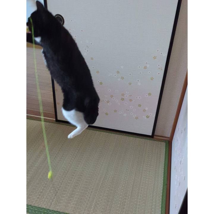 4feeffef d0b8 4a75 adcb abbb1e189846 1705634968753