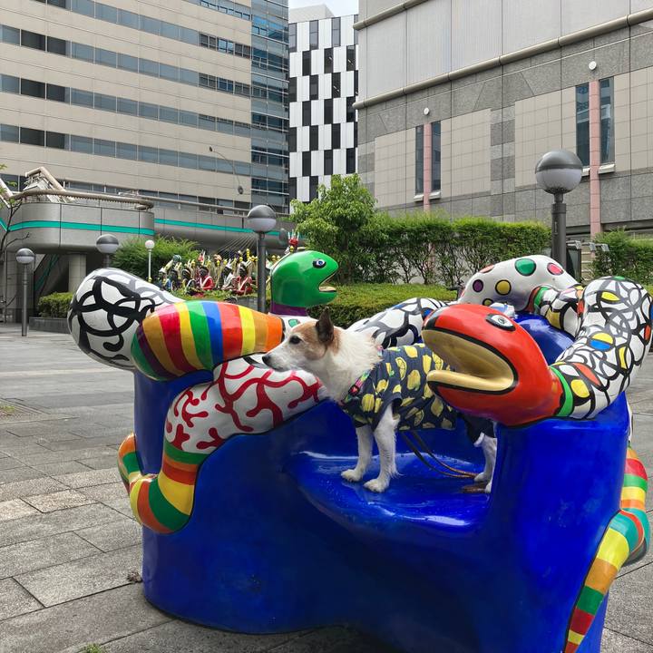 4fef08a6 8761 48b9 9e59 9d79bb4287c0 1717543145493