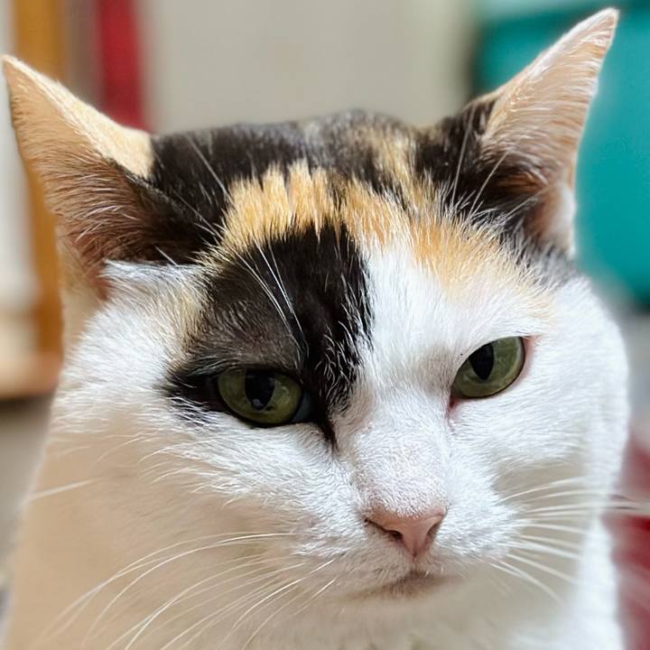 4fef2628 f0c7 43c9 9415 db267da58aaf 1710812191848