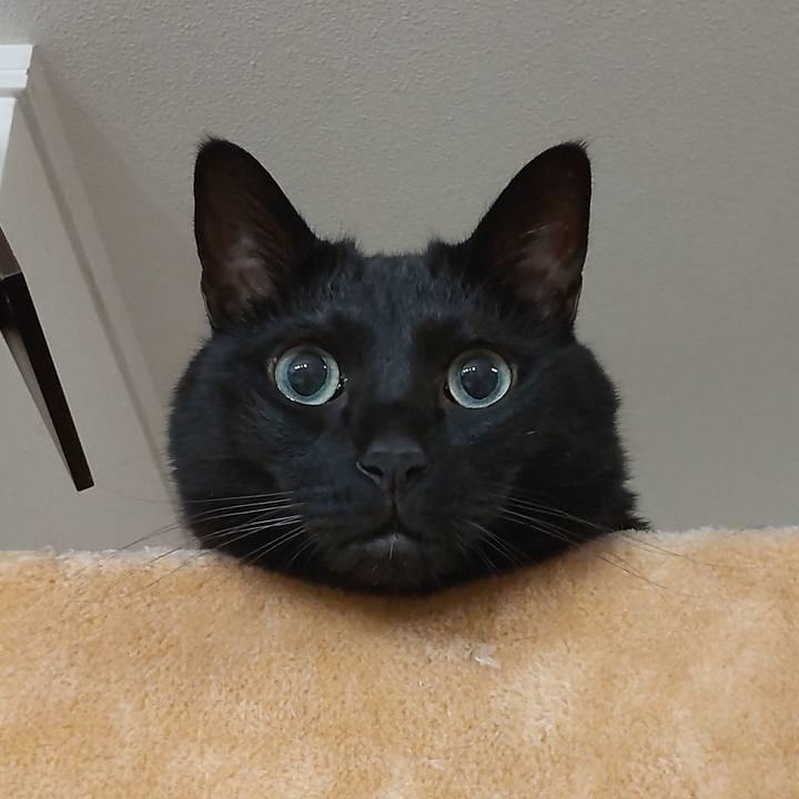 4fef2a62 fbe7 4a92 9b9f 1a1e9921e3c8 1749907042349