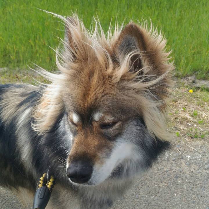 4fef3884 a0b4 46c6 baa2 20f857b9526a 1525394814619