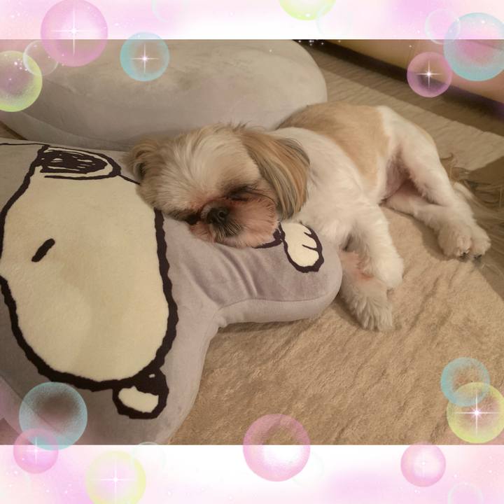 4fef5c77 17fd 4ff5 9be9 b6bec99c8ca1 1624805944979