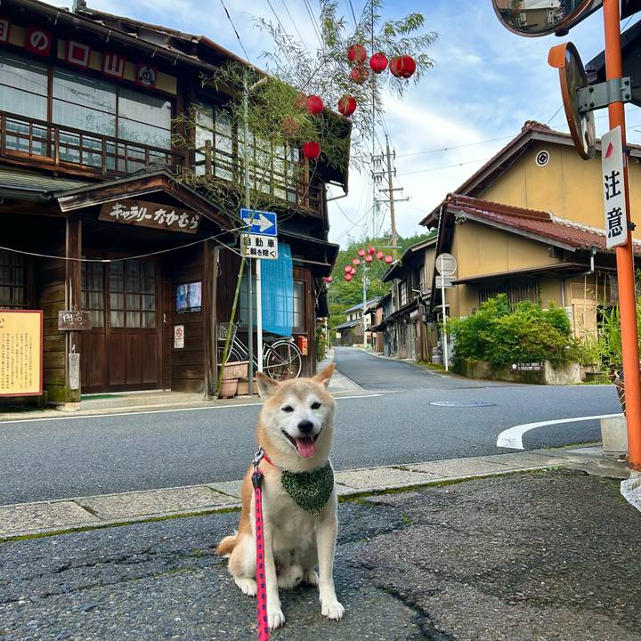 4fefdf8a 5403 4037 a3ac 029bd55cbc1f 1752749394528