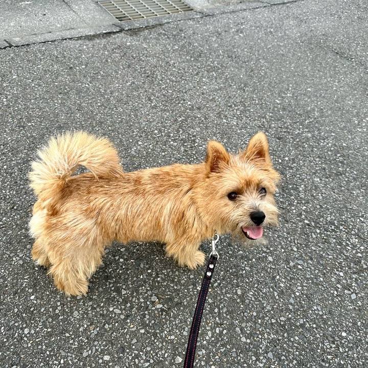 4fefe6a0 f498 4ac1 8252 efca29e6aa21 1724414032396