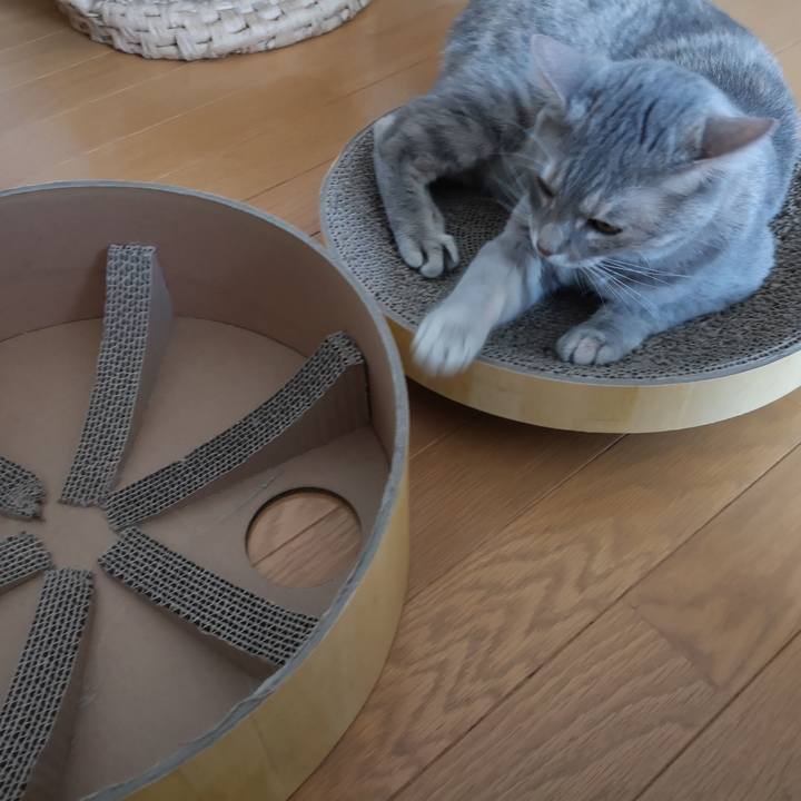 4ff01be2 ae39 4038 ba17 7a9e1aa06558 1562457369910