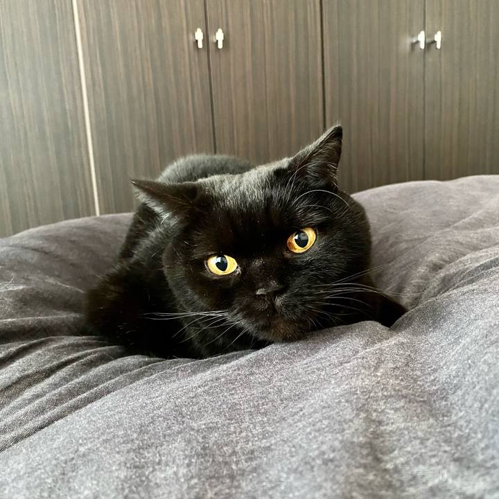 4ff02022 7b60 4aa9 a24f 905194e1058a 1735595928593