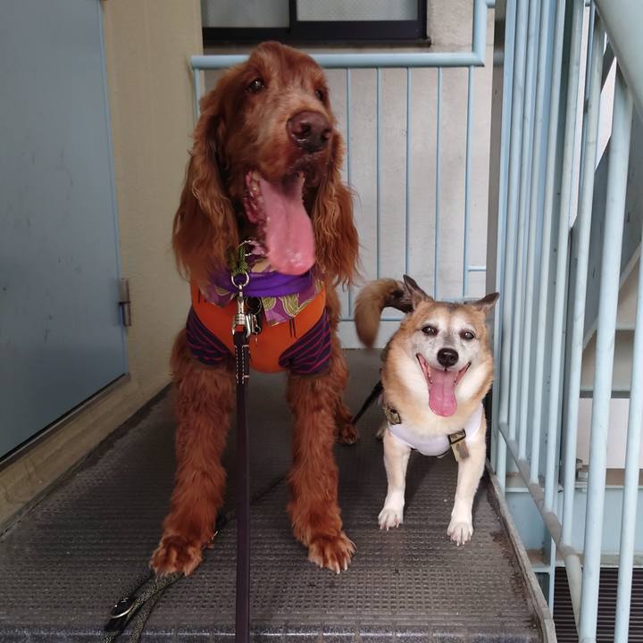 4ff0273e 0a2c 4824 9bb9 0e87799f9ef6 1653234396087