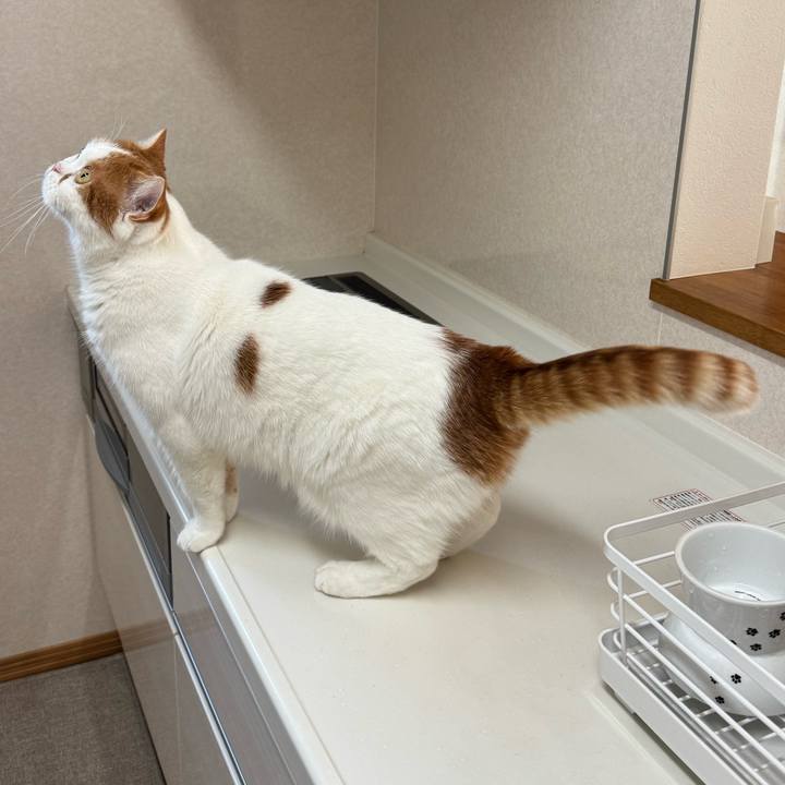 4ff02a05 e32e 4027 820e 47f290faf699 1766460564359