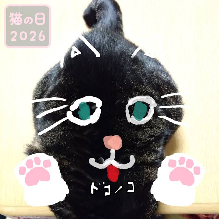 4ff02a63 a9c7 4eca 98eb ebc8652ddb5a 1771759745040