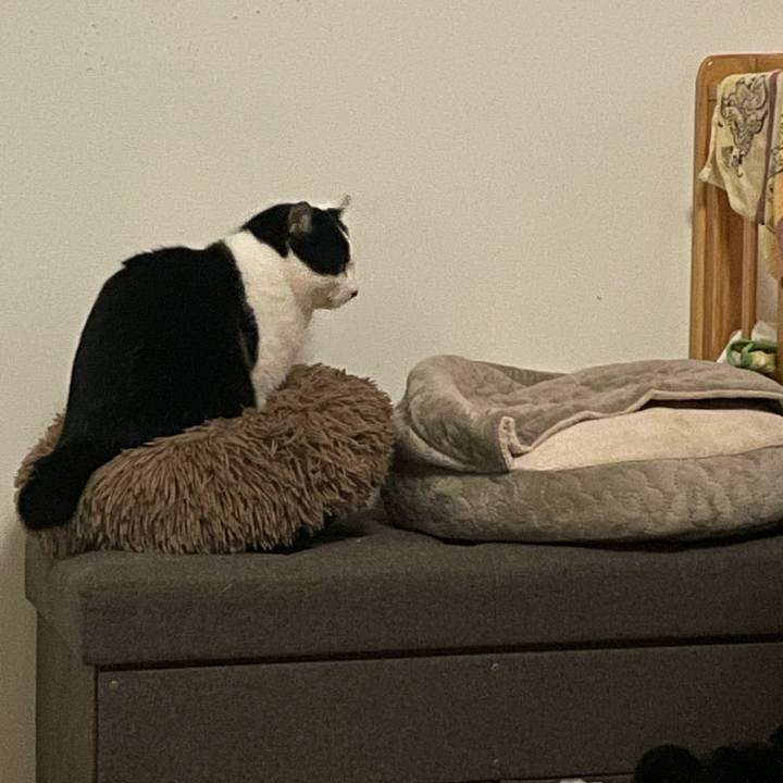 4ff02b28 5ebe 42fd b5b4 1963be08cdc0 1735917456722