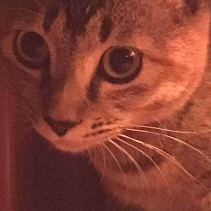 4ff06d00 ab2f 464c b7c6 0a1917f141c1 1573768631022