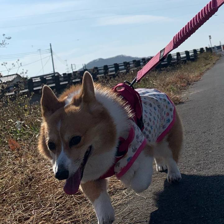 4ff07bc3 ffbb 4ccc 88fd 47ef62ed917c 1607826559509