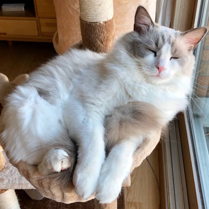 4ff07deb 4896 4fa3 85e4 f29b4577c7da 1573694940337