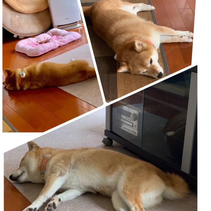 4ff09d37 9621 4da9 9c55 8d3d2d2c5753 1564269957375